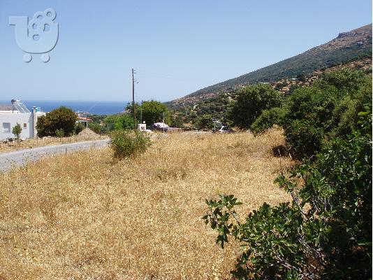 PoulaTo: ΑΝΔΡΟΣ, ΠΩΛΕΙΤΑΙ ΟΙΚΟΠΕΔΟ 2.000 τ.μ., ΑΔΕΙΑ ΟΙΚΟΔΟΜΗΣ 2004
